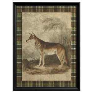 Dingo Gemälde