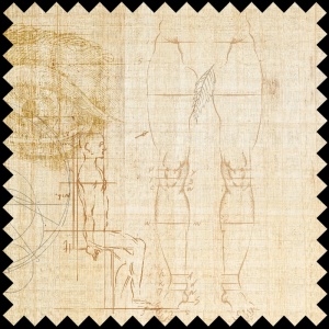 Material Textil Anatomy of numbers