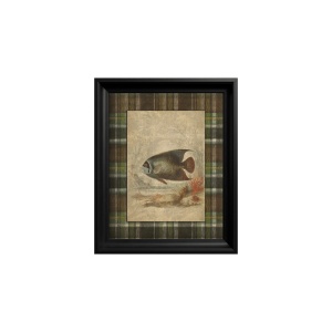 Tableau Emperor Angelfish