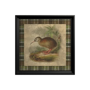Tableau Kiwi Bird - Img 3