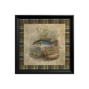Tableau Mandarinfish - Img 2