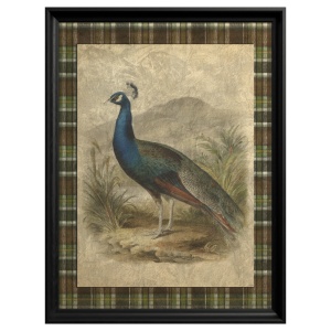 Tableau Peacock