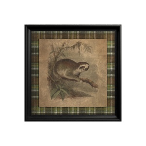 Tableau Three toed Sloth - Img 3