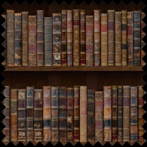 Tissu Library Style