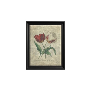 Tulip Harmony Gemälde
