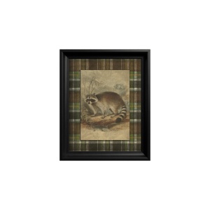 Raccoon Gemälde