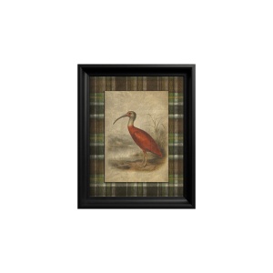 Scarlet Ibis Gemälde