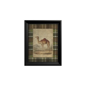 Tableau Dromedary Camel
