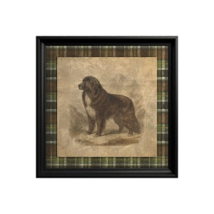Tableau Newfoundland Dog