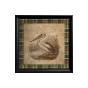 Tableau Pelican