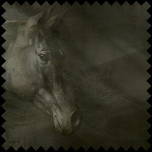 Tissu Friesian Charm