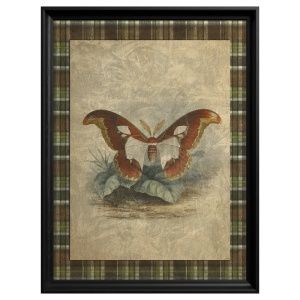 Atlas Moth Painting - Img 2