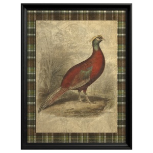 Tableau Golden Pheasant