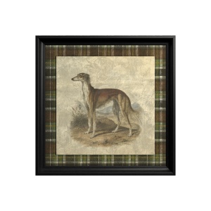 Tableau Saluki dog