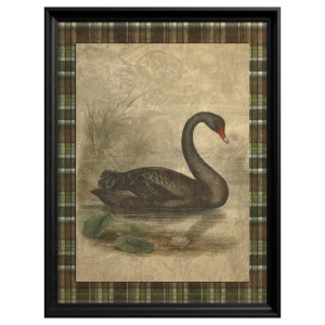 Black Swan Painting