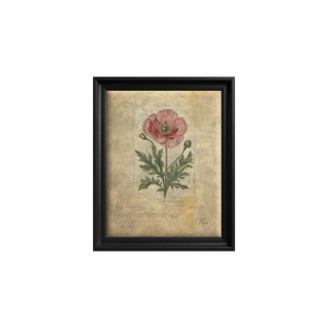 Canvas Wall Art Poppy Reverie