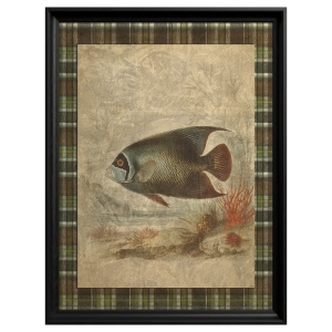 Emperor Angelfish Painting - Img 2
