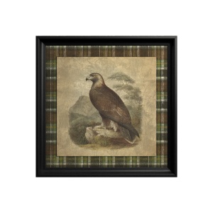 Tableau Golden Eagle