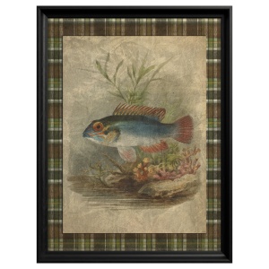 Tableau Mandarinfish - Img 3