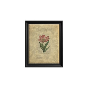 Canvas Wall Art Tulip Manuscript