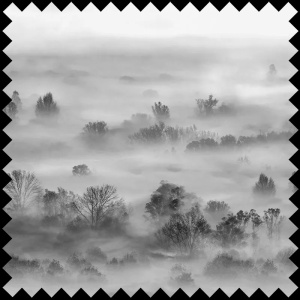 Foggy Landscape Grey Fabric