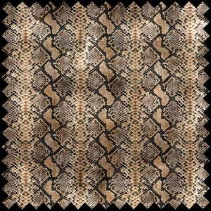 Sansevieria Fabric