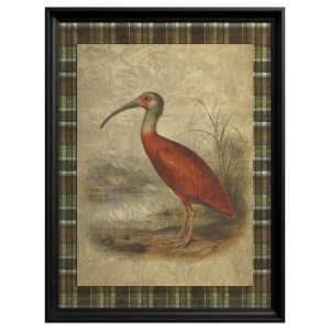 Scarlet Ibis Gemälde - Img 2
