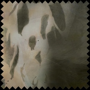 Spotted Queen Fabric