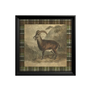 Tableau Alpine Ibex - Img 2