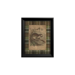 Tableau Three toed Sloth