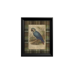 Tablou Blue and yellow Macaw - Img 2