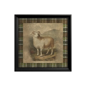 Tablou Domestic Sheep - Img 3