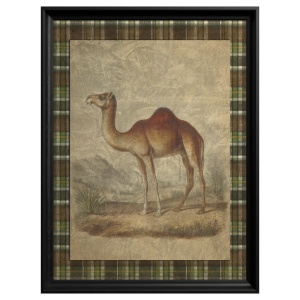 Tablou Dromedary Camel - Img 2
