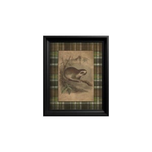 Tablou Three toed Sloth