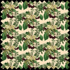 Tissu Cherry Context