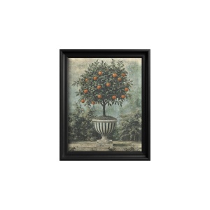 Citrus Reverie Gemälde