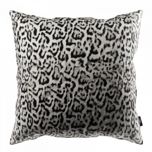 Farfugium Silver Cushion