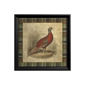 Golden Pheasant Painting - Img 2