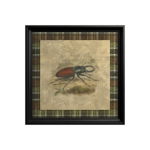 Stag Beetle Painting