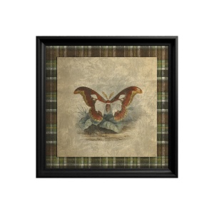 Tablou Atlas Moth - Img 3