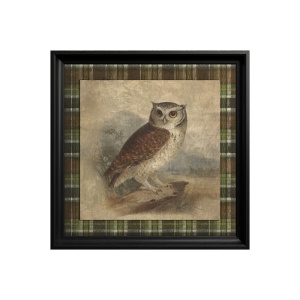 Tablou Little Owl - Img 3