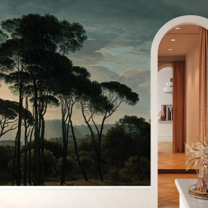 Umbrella Pines Dawn Papier Peint