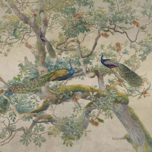 Eden Peacock Wallpaper - Img 3