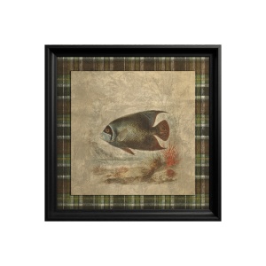 Emperor Angelfish Painting - Img 3