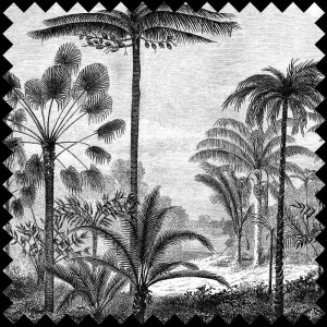 Material Textil Grey Amazon