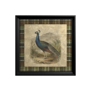 Tableau Peacock - Img 3
