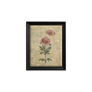 Canvas Wall Art Poppy Muse