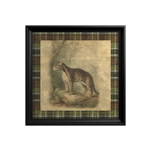Tableau Clouded Leopard - Img 2