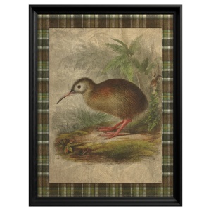 Tableau Kiwi Bird - Img 2