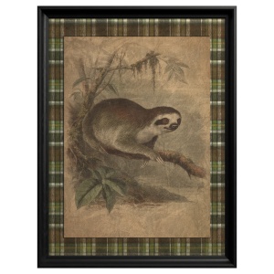Tableau Three toed Sloth - Img 2
